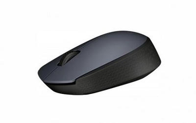 Logitech Wireless Mouse M170, Grey, [910-004642]